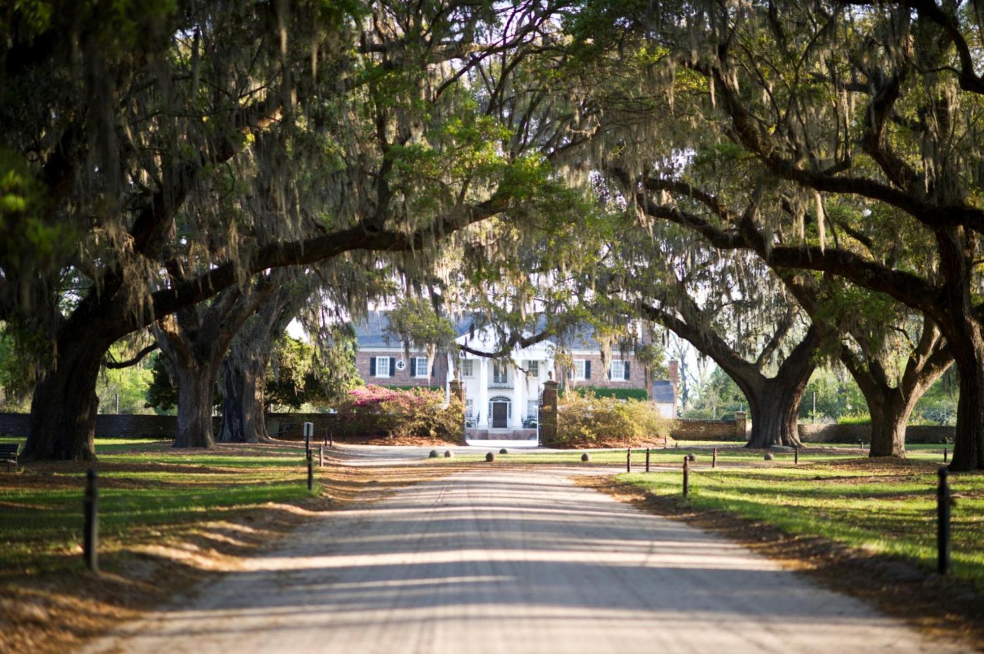 Hotel Indigo Charleston - Mount Pleasant, An Ihg Hotel Zewnętrze zdjęcie